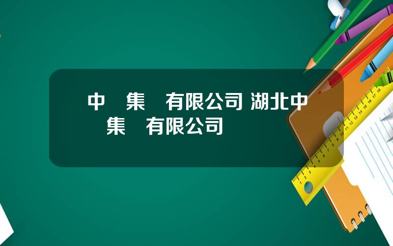 中鋁集團有限公司 湖北中鋁集團有限公司